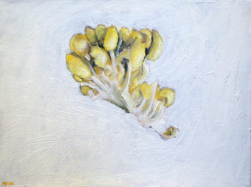 Golden Oyster Mushrooms painting