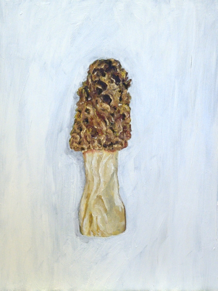 Morel Mushroom painting