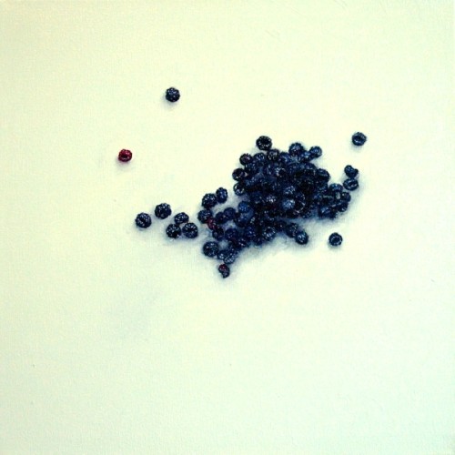 Black Raspberries painting